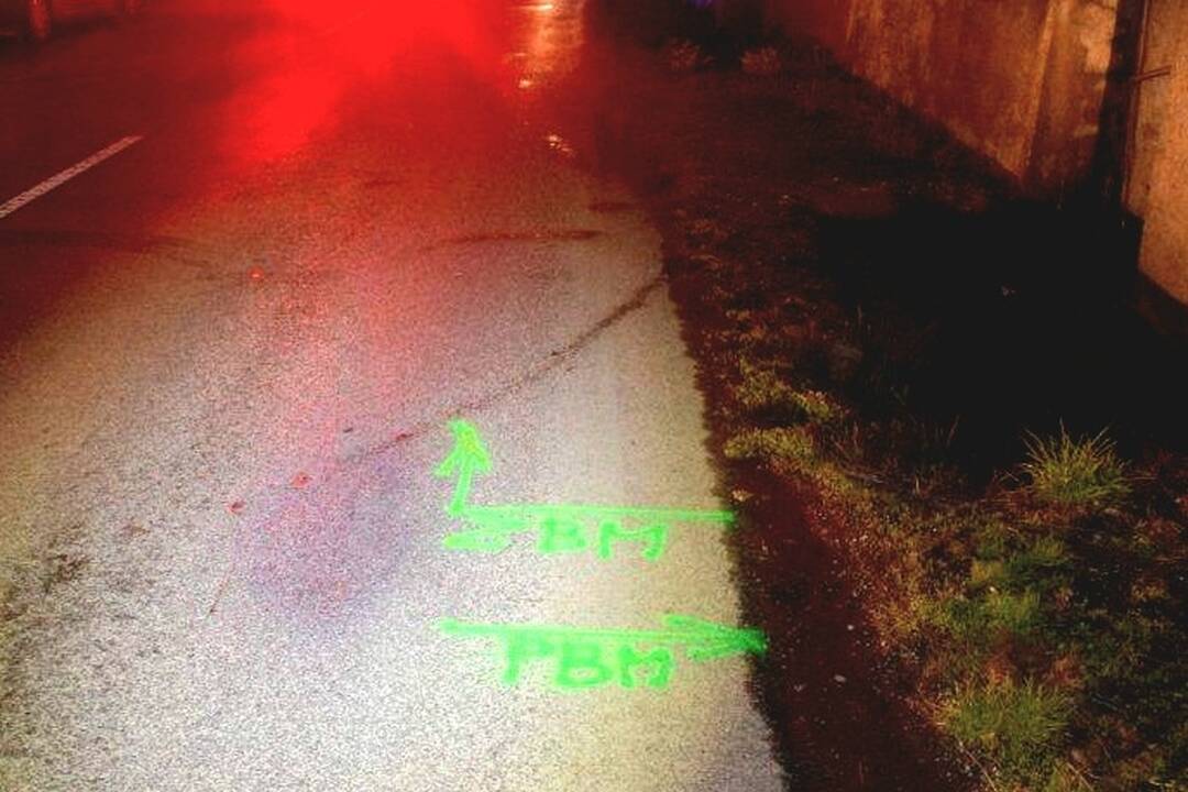 FOTO: V Šahách došlo k tragickej zrážke, na priechode sedel muž, foto 1