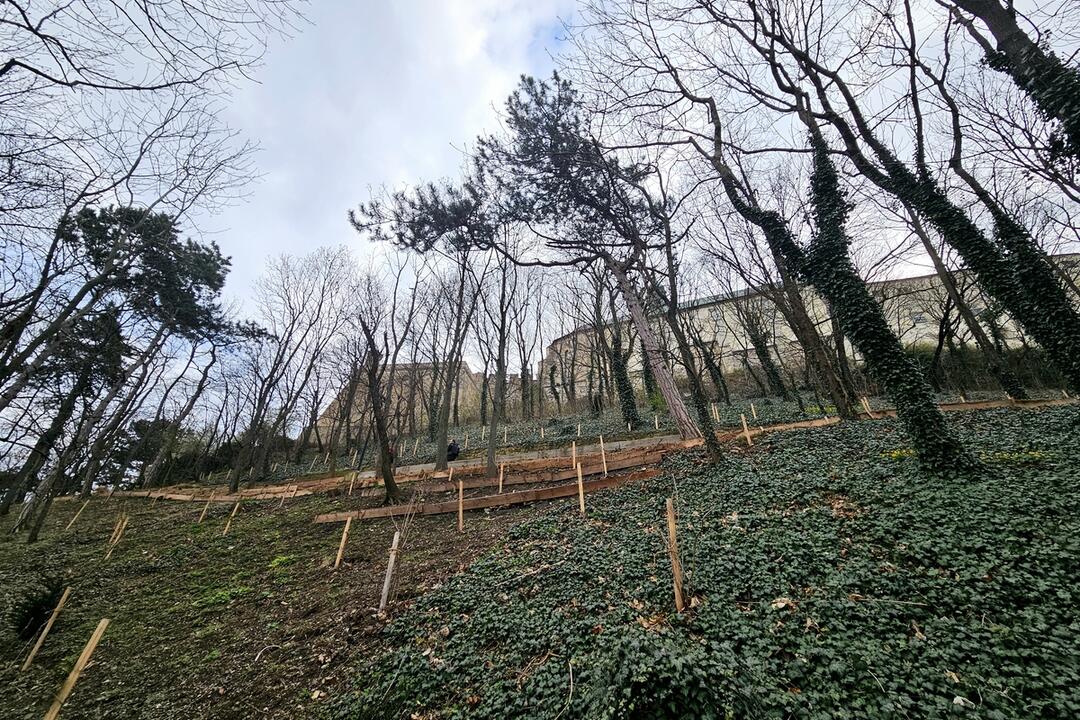 FOTO: Takto vyzerá hradný kopec v Nitre po obnove , foto 2
