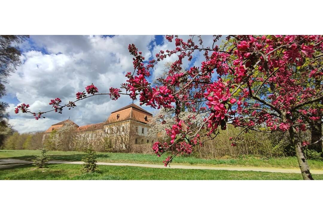 FOTO: Kaštieľ Tovarníky je na predaj. Stačí sa dohodnúť na cene a môžete si žiť ako kráľ, foto 3