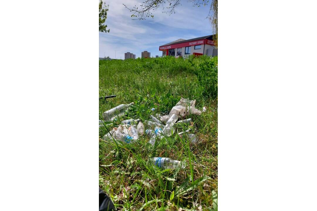 FOTO: Iniciatíva Za zelenú Nitru skrášlila prostredie Klokočiny, foto 1