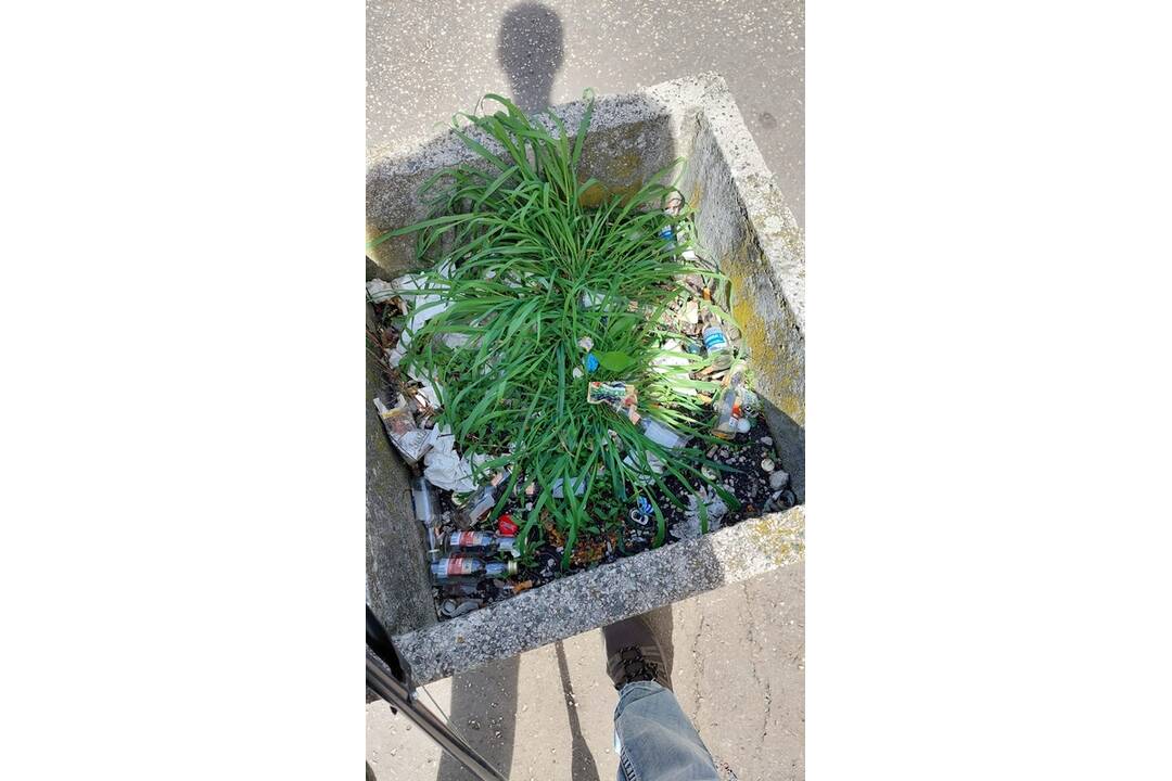 FOTO: Iniciatíva Za zelenú Nitru skrášlila prostredie Klokočiny, foto 3