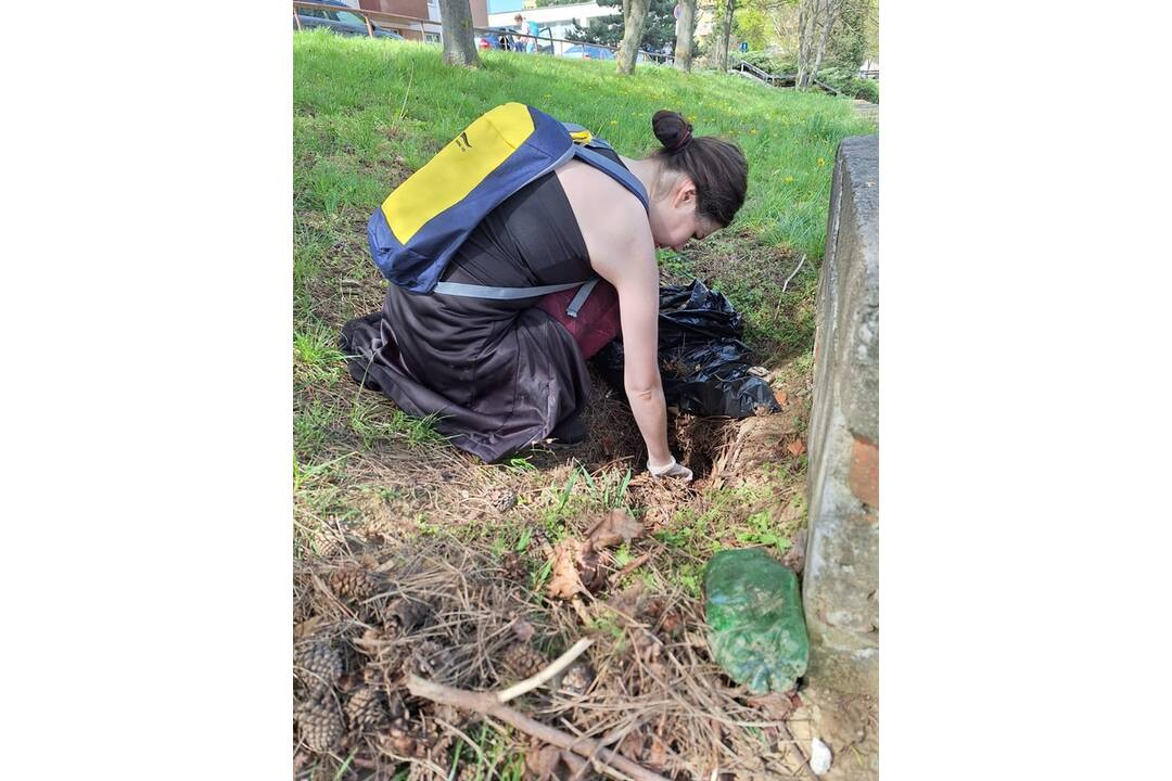 FOTO: Iniciatíva Za zelenú Nitru skrášlila prostredie Klokočiny, foto 8