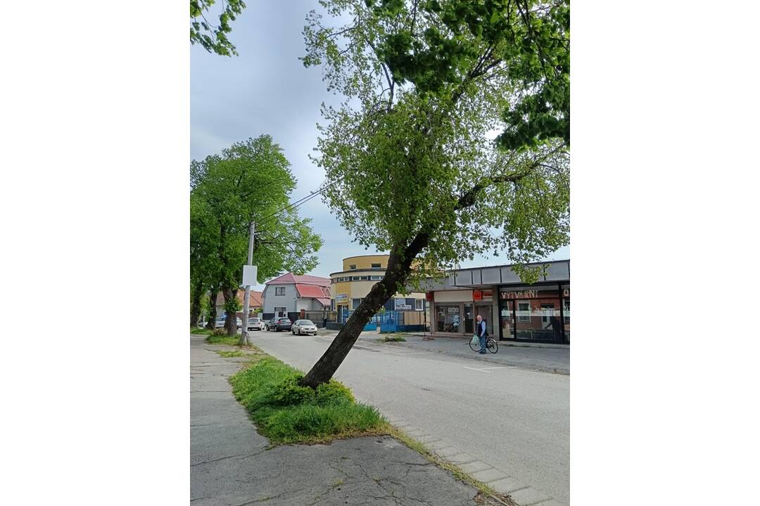 FOTO: Silný vietor polámal v Šuranoch stromy, foto 6