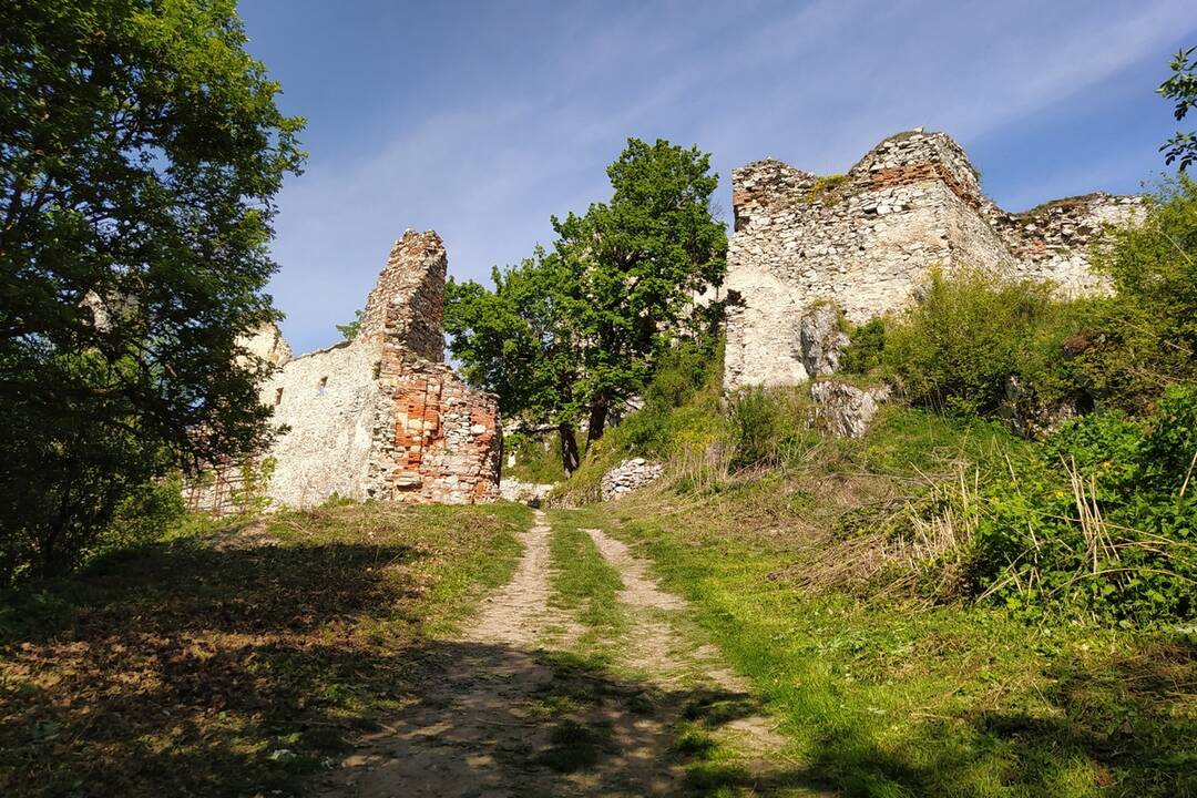 FOTO: Na hrade Gýmeš nezaháľajú, počas brigády vyčistili a upravili areál, foto 1