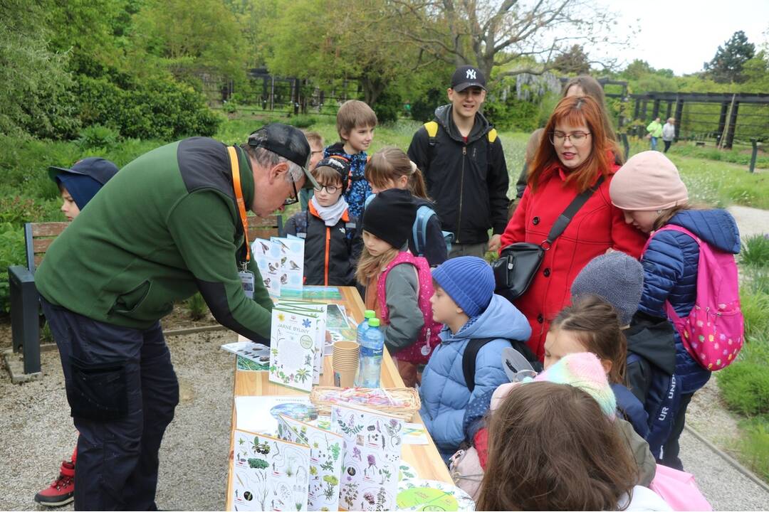 FOTO: Botanická záhrada SPU v Nitre je už otvorená , foto 1