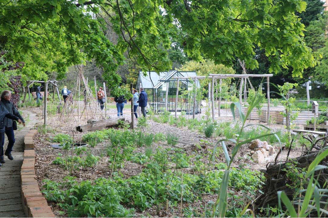 FOTO: Botanická záhrada SPU v Nitre je už otvorená , foto 2