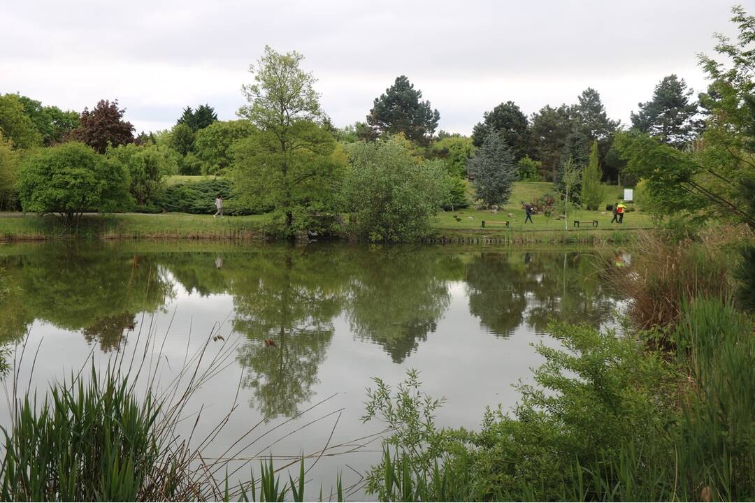 FOTO: Botanická záhrada SPU v Nitre je už otvorená , foto 3