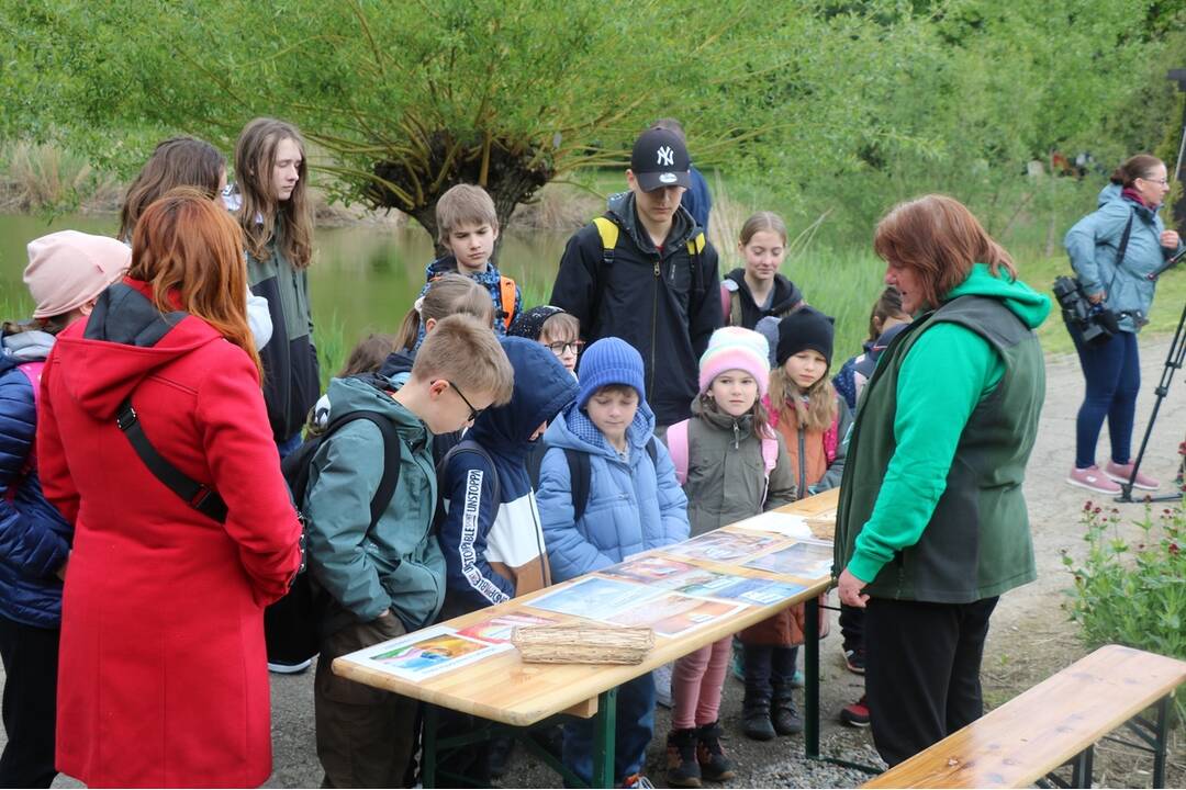 FOTO: Botanická záhrada SPU v Nitre je už otvorená , foto 6