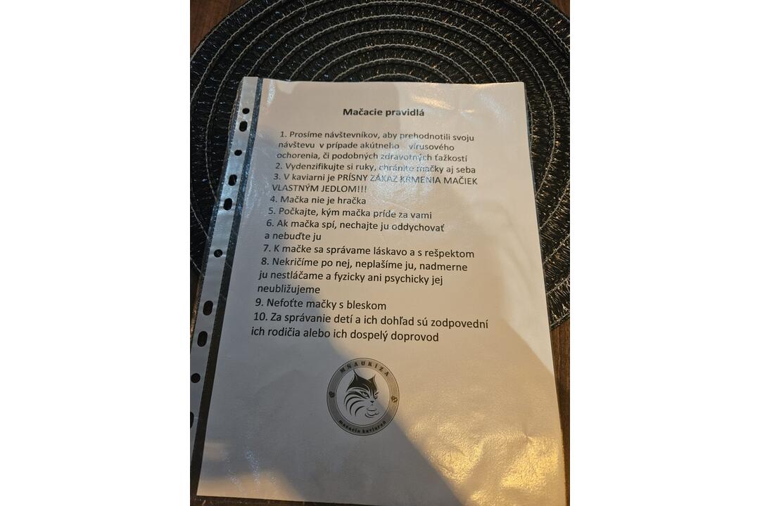 FOTO: Mňaukíza - prvá mačacia kaviareň v Nitre, foto 8