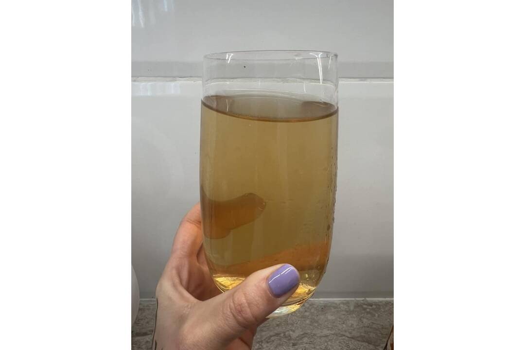 FOTO: V Nitre majú problémy s vodou, zmenila farbu na žltú, foto 5