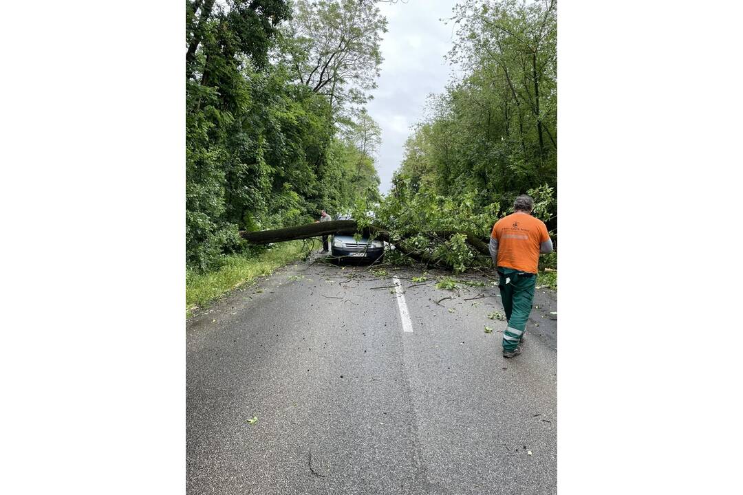 FOTO: Pri obci Báb spadol na cestu strom, trafil aj auto, foto 1