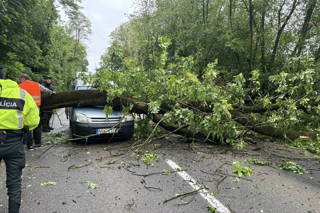FOTO: Pri obci Báb spadol na cestu strom, trafil aj auto, foto 3