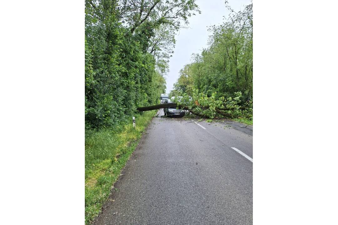 FOTO: Pri obci Báb spadol na cestu strom, trafil aj auto, foto 4