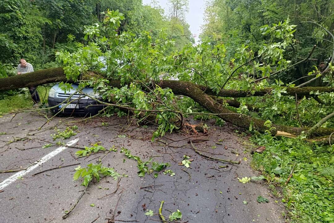 FOTO: Dobrovoľní hasiči z obce Báb zasahovali pri vozidle, na ktoré spadol strom, foto 3