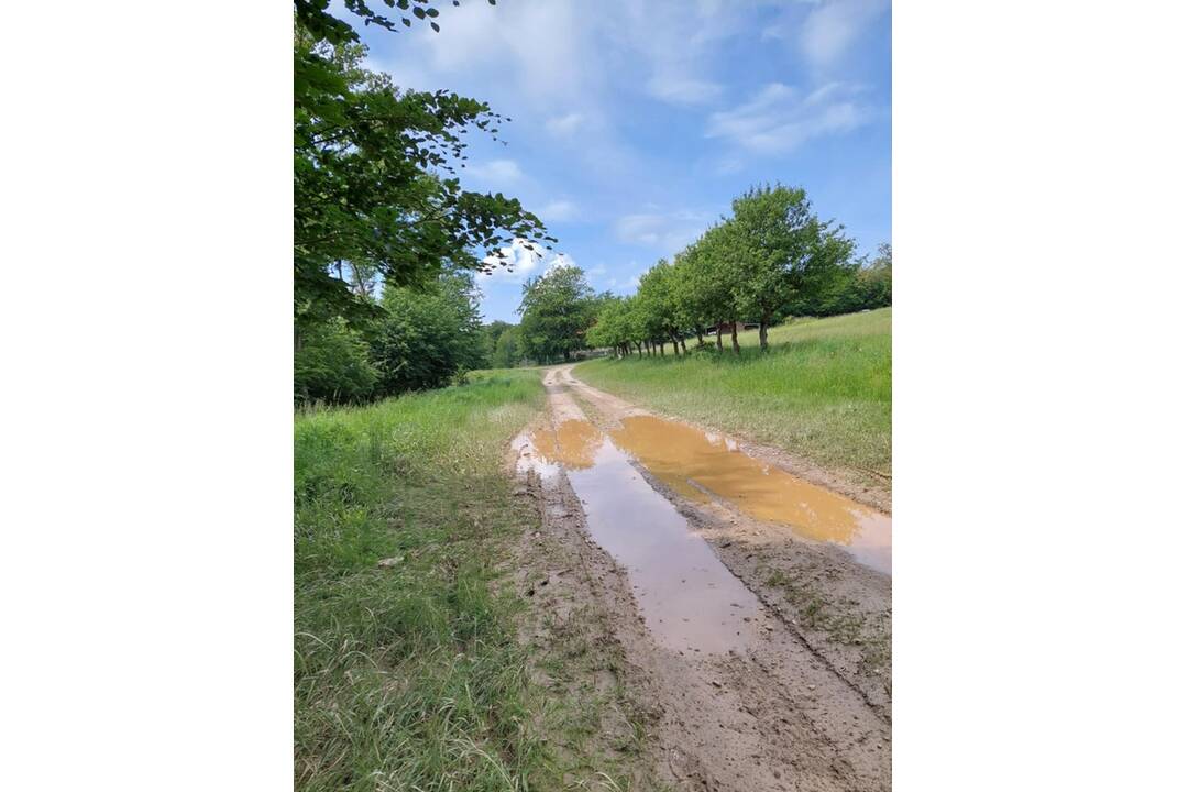 FOTO: Pri obci Skýcov neďaleko Zlatých Moraviec sa našli medvedie stopy, foto 1