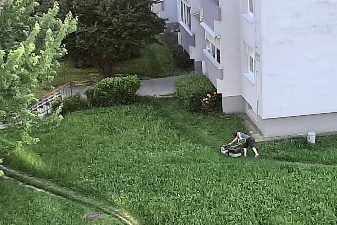 FOTO: Akčná Nitrianka zobrala kosačku a vyriešila problém s vysokou trávou pri paneláku, foto 3