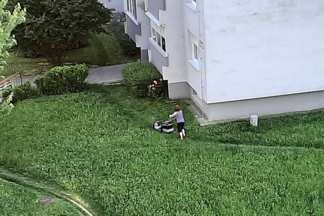 FOTO: Akčná Nitrianka zobrala kosačku a vyriešila problém s vysokou trávou pri paneláku, foto 6