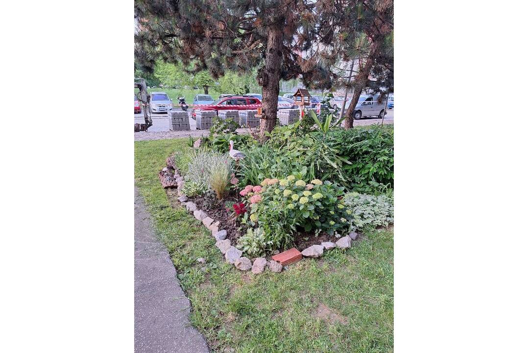 FOTO: Akčná Nitrianka zobrala kosačku a vyriešila problém s vysokou trávou pri paneláku, foto 4