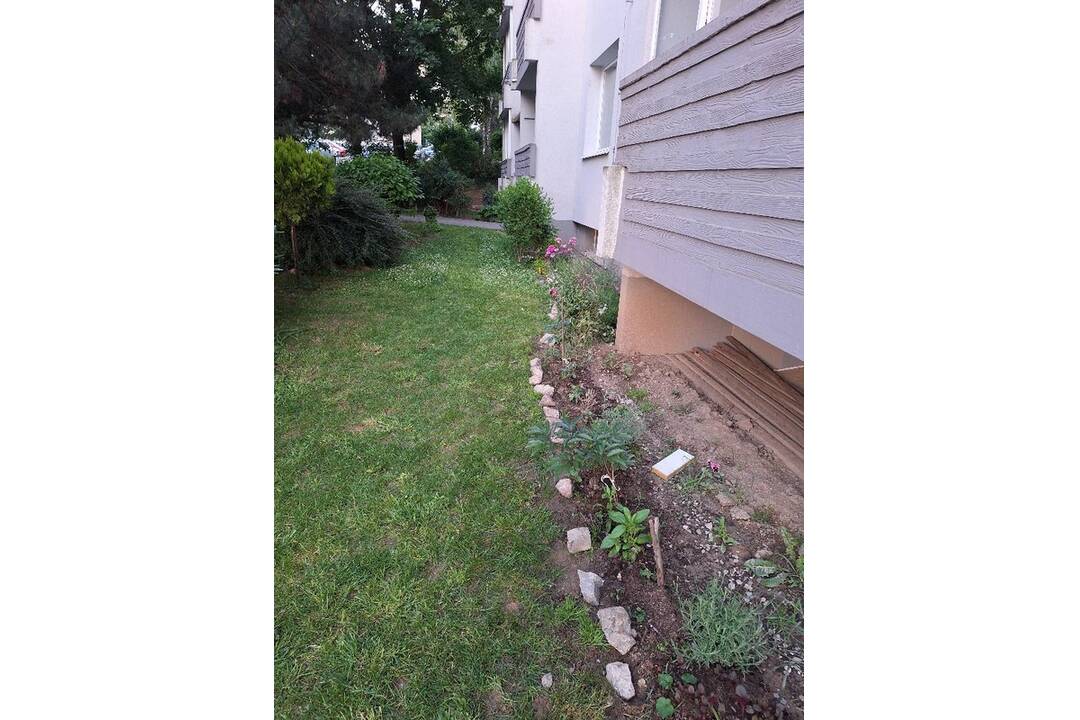 FOTO: Akčná Nitrianka zobrala kosačku a vyriešila problém s vysokou trávou pri paneláku, foto 7