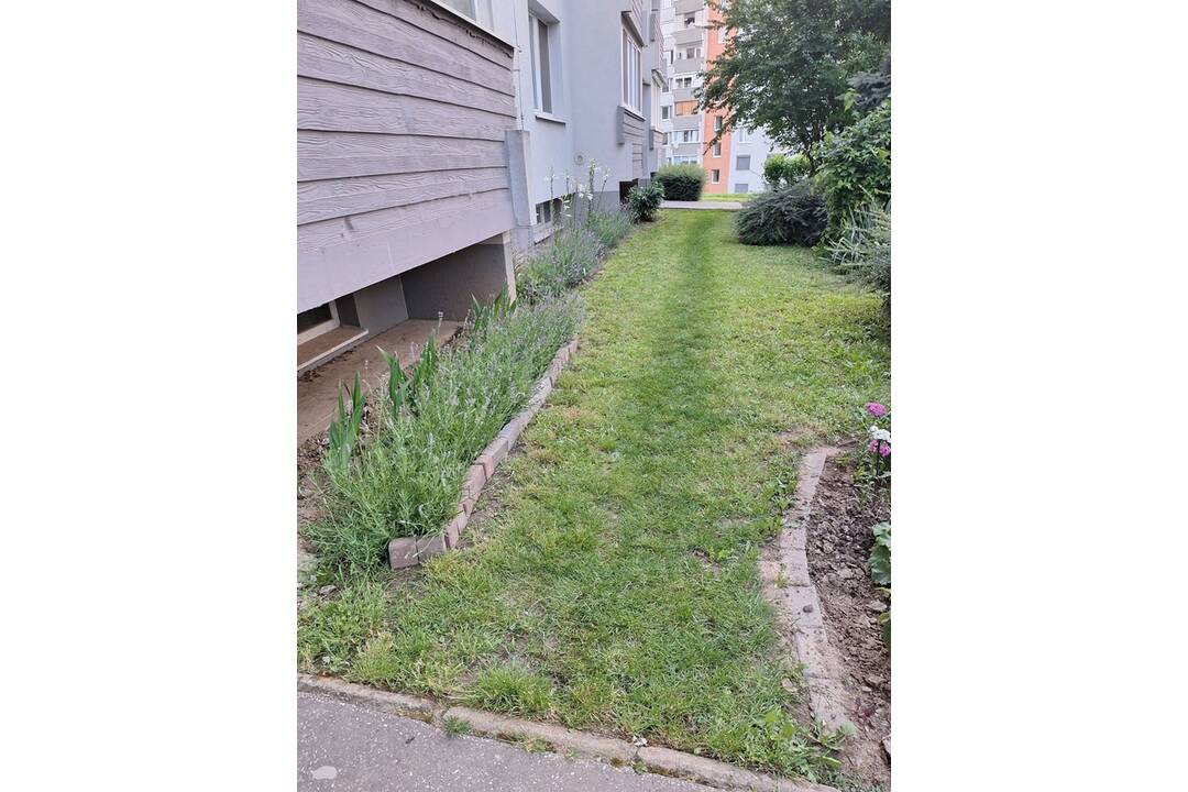 FOTO: Akčná Nitrianka zobrala kosačku a vyriešila problém s vysokou trávou pri paneláku, foto 5