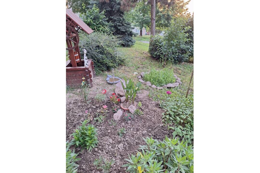 FOTO: Akčná Nitrianka zobrala kosačku a vyriešila problém s vysokou trávou pri paneláku, foto 10