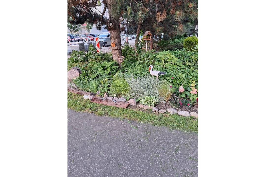 FOTO: Akčná Nitrianka zobrala kosačku a vyriešila problém s vysokou trávou pri paneláku, foto 13