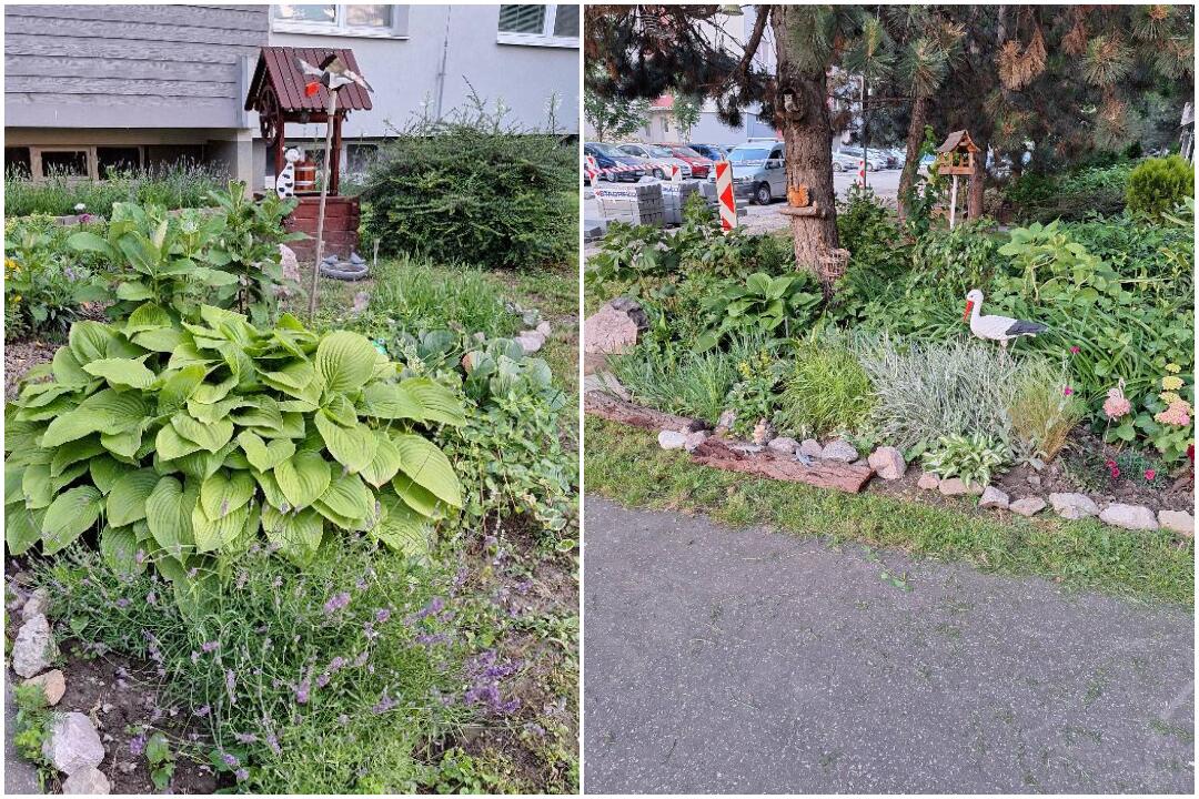 FOTO: Akčná Nitrianka zobrala kosačku a vyriešila problém s vysokou trávou pri paneláku, foto 1