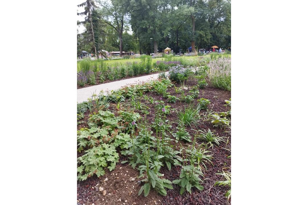 FOTO: Obľúbený Starý park na Sihoti oficiálne otvoril svoje brány verejnosti, foto 6