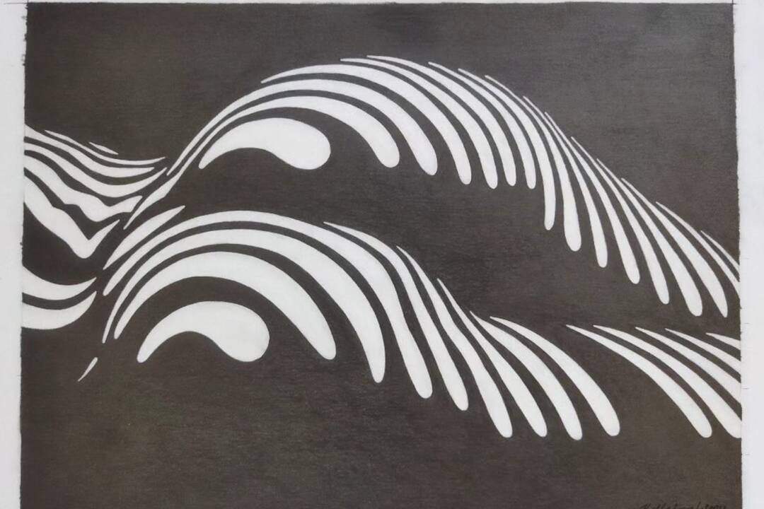 FOTO:  V Nových Zámkoch prebehne vernisáž výstavy Doroty Kollárovej, foto 4