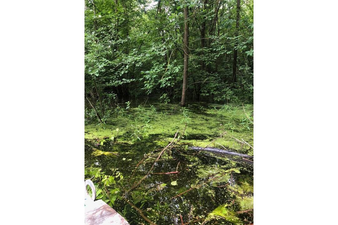 FOTO: V Komárne aplikovali už tretí postrek proti komárom tohto roka, foto 1