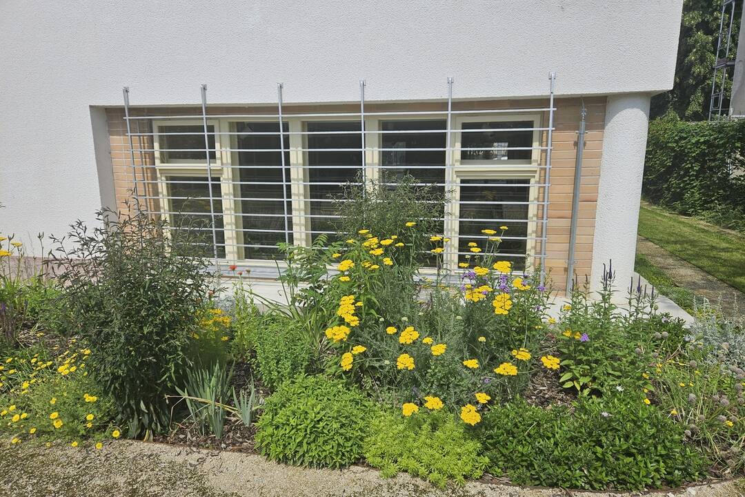 FOTO: Ikonická Vila K v Nitre opäť otvorila svoje brány. Takto vyzerá po obnove, foto 16