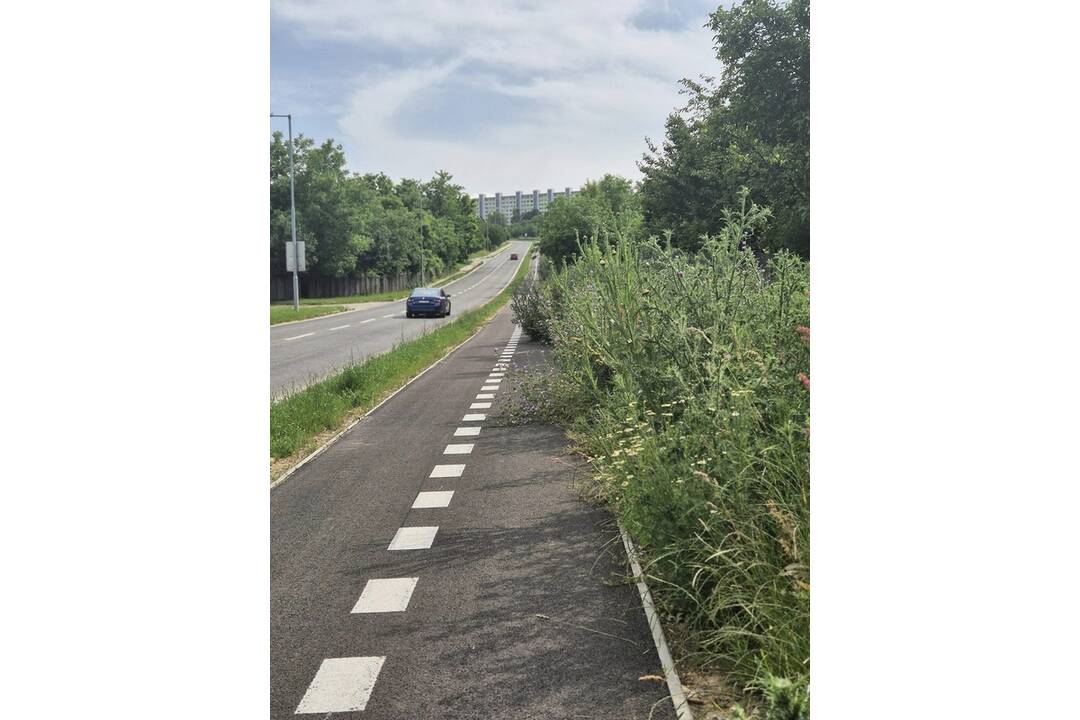 FOTO: Takéto zarastené cyklotrasy, ako majú v Nitre, ste ešte nevideli, foto 2