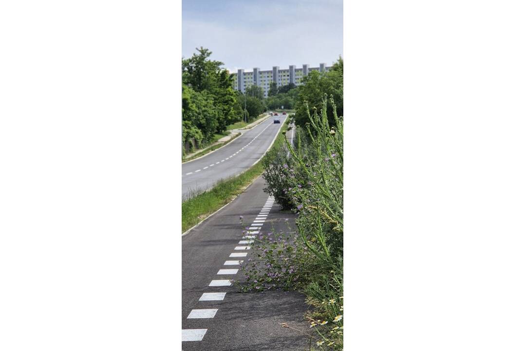 FOTO: Takéto zarastené cyklotrasy, ako majú v Nitre, ste ešte nevideli, foto 1