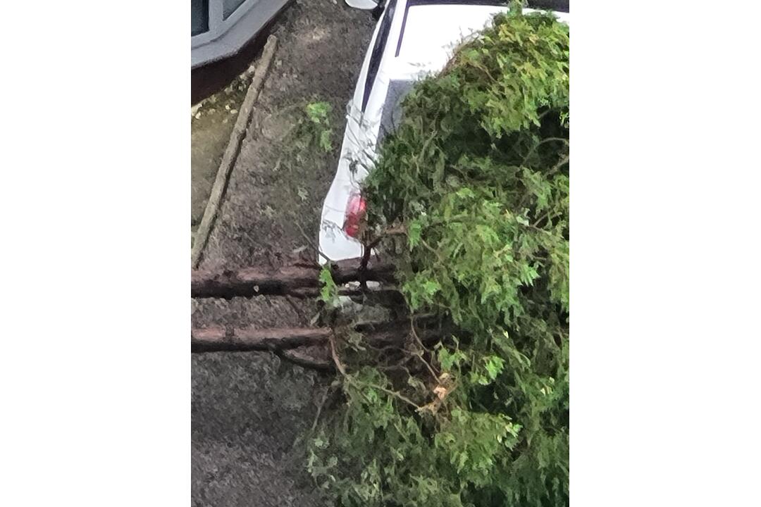 FOTO: V Nitre a okolí vyčíňajú silné búrky, lámu stromy a vytopené sú aj ulice, foto 4