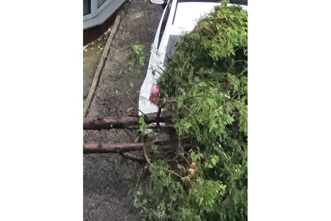 FOTO: Búrka, ktorá sa v stredu prehnala Nitrou a okolím, lámala aj stromy , foto 5