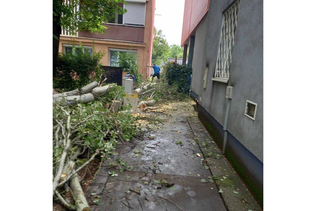 FOTO: V Nových Zámkoch už odstraňujú škody aj popadané stromy a konáre, foto 1