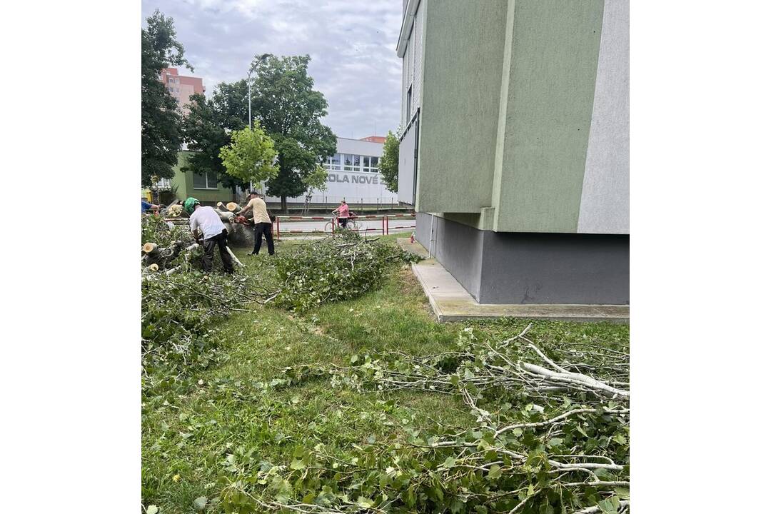 FOTO: V Nových Zámkoch už odstraňujú škody aj popadané stromy a konáre, foto 2