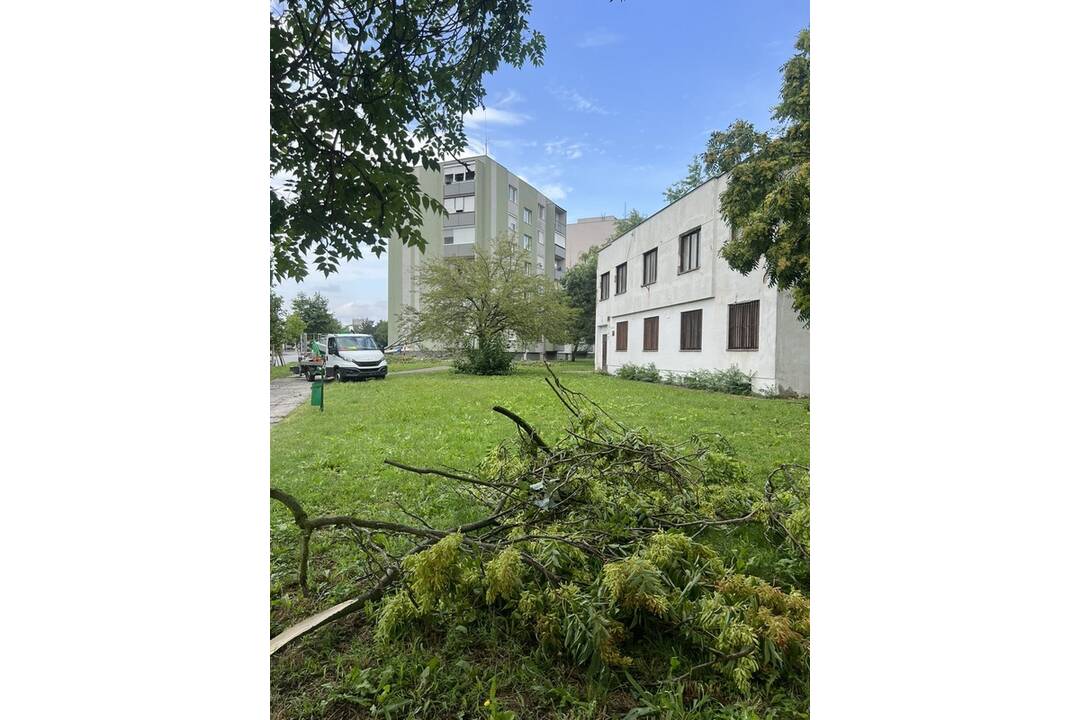 FOTO: V Nových Zámkoch už odstraňujú škody aj popadané stromy a konáre, foto 3