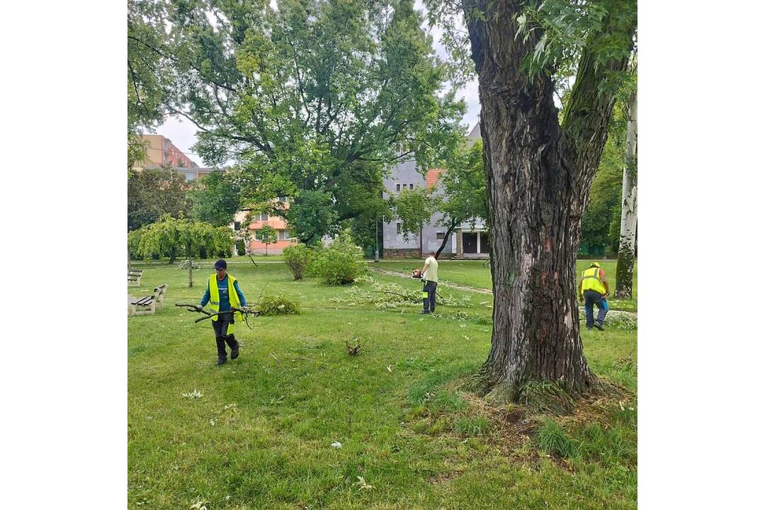 FOTO: V Nových Zámkoch už odstraňujú škody aj popadané stromy a konáre, foto 4