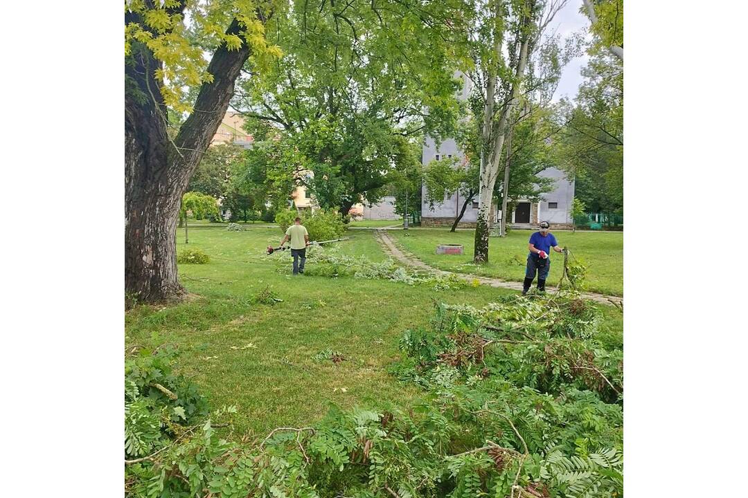 FOTO: V Nových Zámkoch už odstraňujú škody aj popadané stromy a konáre, foto 6