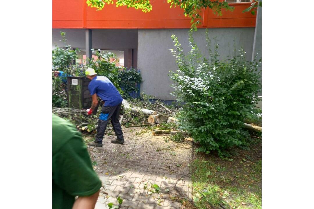 FOTO: V Nových Zámkoch už odstraňujú škody aj popadané stromy a konáre, foto 9