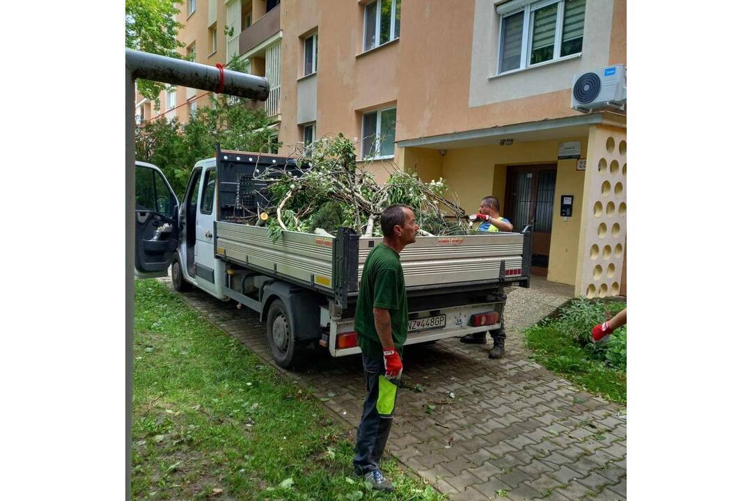 FOTO: V Nových Zámkoch už odstraňujú škody aj popadané stromy a konáre, foto 10