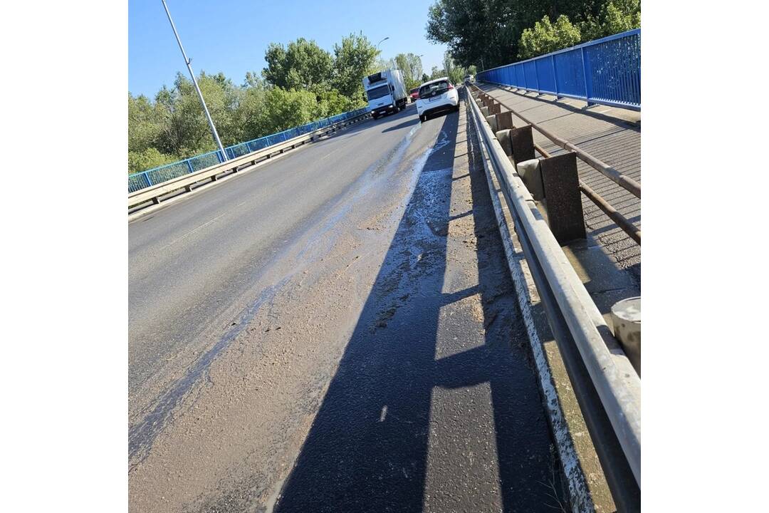 FOTO: Na moste v Šali cestári odpratávali hmyz, išlo o uhynuté podenky, foto 3