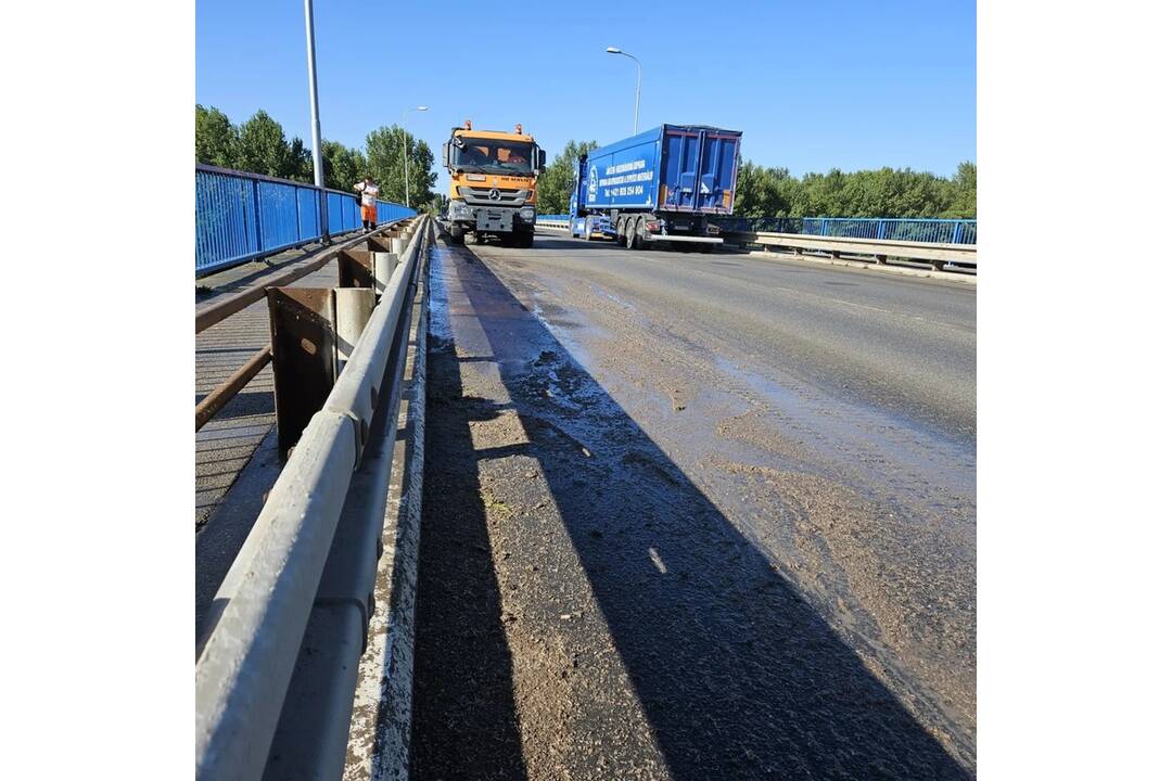 FOTO: Na moste v Šali cestári odpratávali hmyz, išlo o uhynuté podenky, foto 4