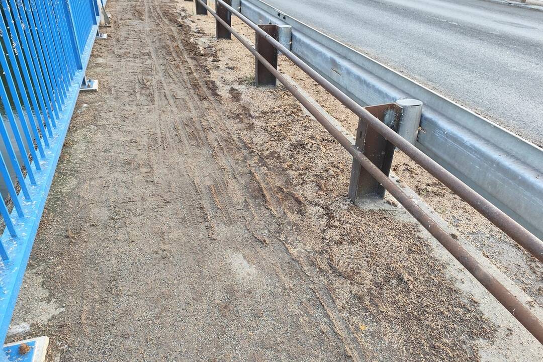 FOTO: Na moste v Šali cestári odpratávali hmyz, išlo o uhynuté podenky, foto 2