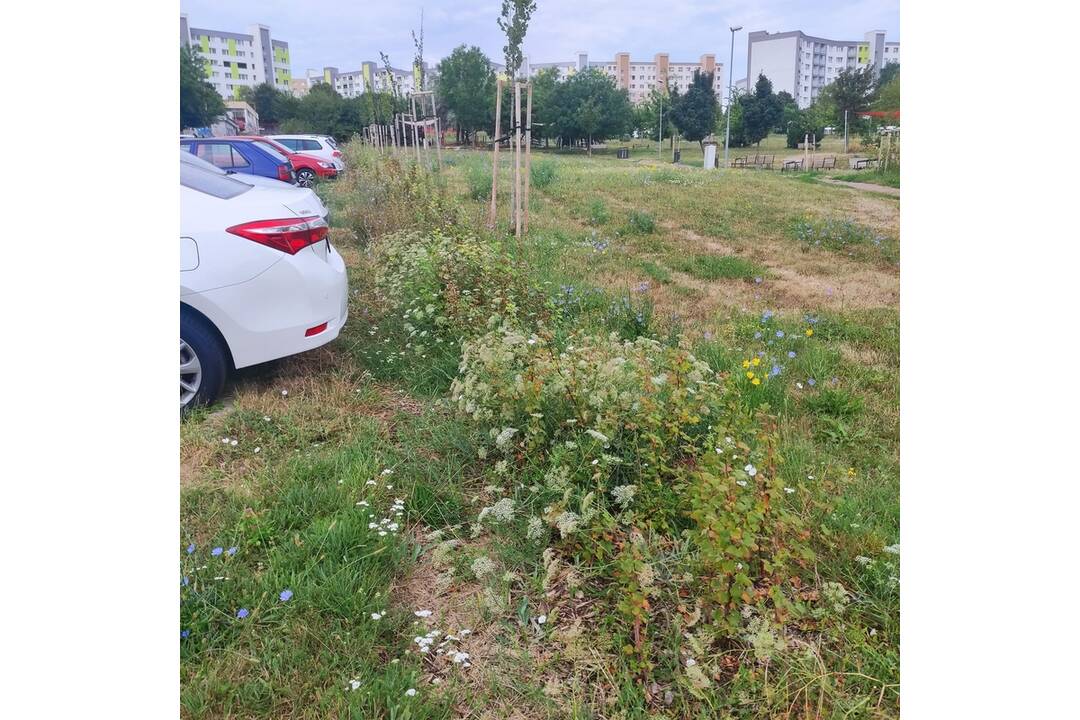 FOTO: Nitianov hnevá neupravené okolie amfiteátru na Dieloch, foto 4