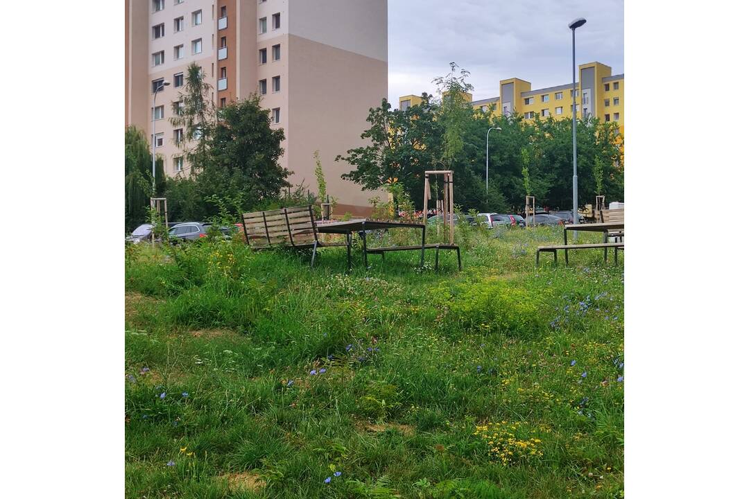 FOTO: Nitianov hnevá neupravené okolie amfiteátru na Dieloch, foto 3