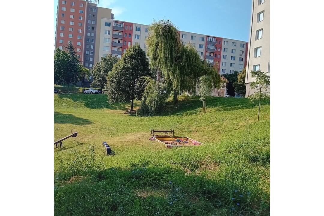 FOTO: Búrka na nitrianskom Čermáni polámala konáre, domáci sa boja o bezpečnosť, foto 1