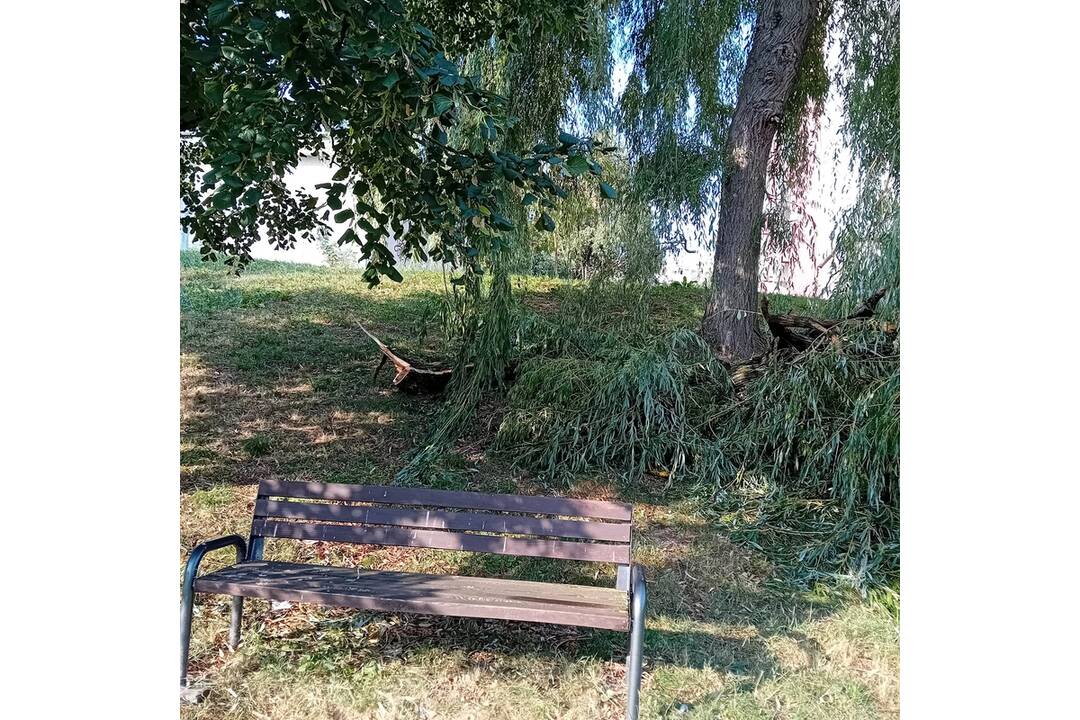 FOTO: Búrka na nitrianskom Čermáni polámala konáre, domáci sa boja o bezpečnosť, foto 2