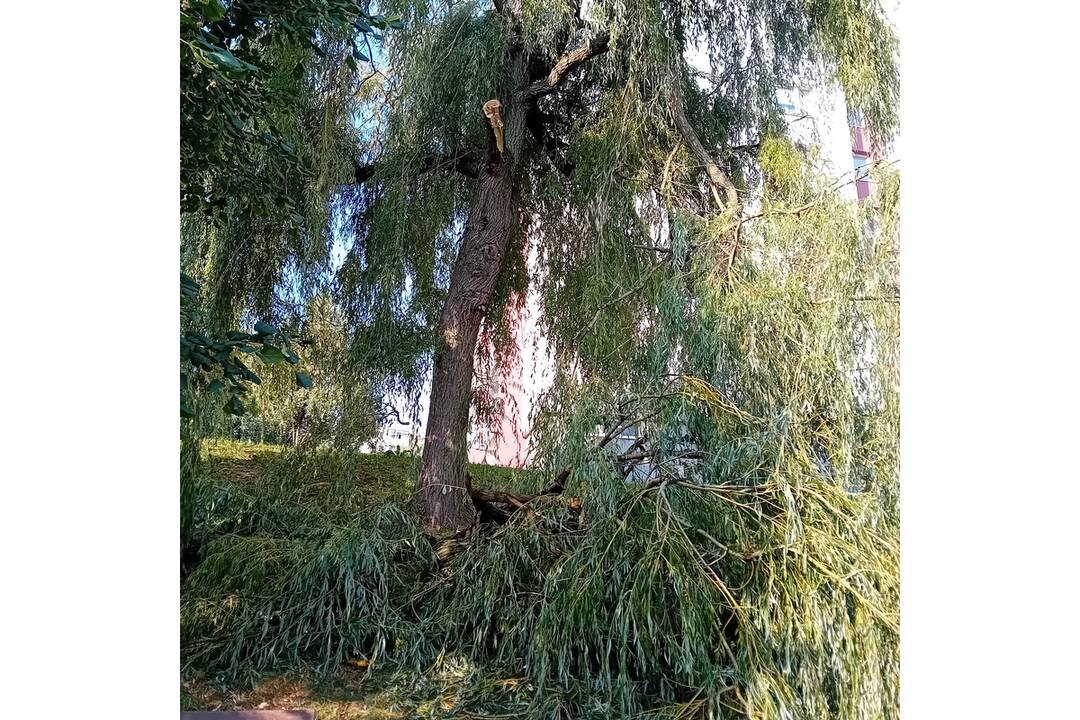 FOTO: Búrka na nitrianskom Čermáni polámala konáre, domáci sa boja o bezpečnosť, foto 3